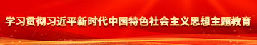 大鸡巴使劲操我的小骚逼视频学习贯彻习近平新时代中国特色社会主义思想主题教育